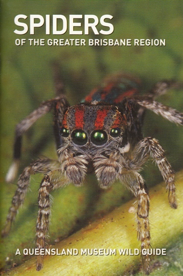 Image for Spiders of the Greater Brisbane Region: A Queensland Museum Pocket Wild Guide