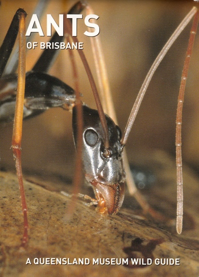 Image for Ants of Brisbane: A Queensland Museum Pocket Wild Guide