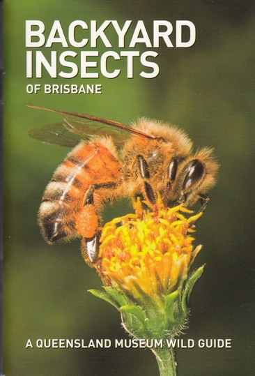 Image for Backyard Insects of Brisbane: A Queensland Museum Pocket Wild Guide
