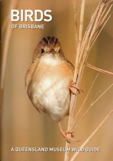 Image for Birds of Brisbane: A Queensland Museum Pocket Wild Guide