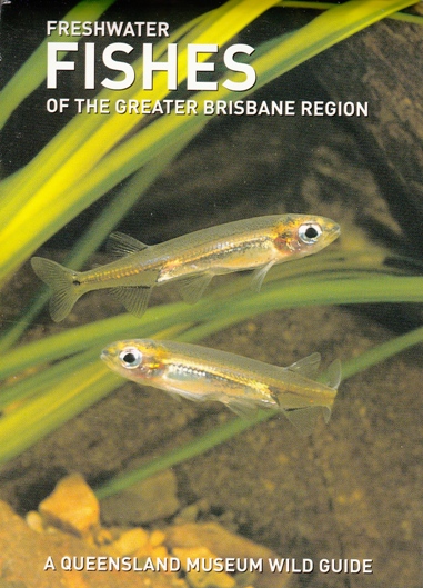 Image for Freshwater Fishes of the Greater Brisbane Region: A Queensland Museum Pocket Wild Guide