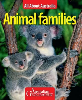 Image for Animal Families: All About Australia # Australian Geographic