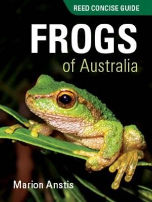 Image for Frogs of Australia # Reed Concise Guide