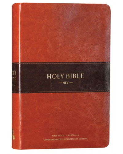 Image for NIV Bible Bicentennial Edition Deluxe Brown